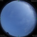 1591282598.jpg