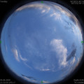 1591367645.jpg