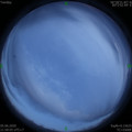 1591369101.jpg