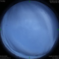 1591369461.jpg
