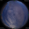 1591378165.jpg