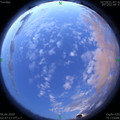 1591386464.jpg