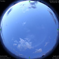 1591388730.jpg