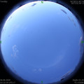 1591389180.jpg