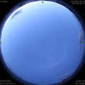 1591389496.jpg