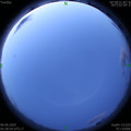 1591389558.jpg