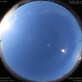1591400181.jpg
