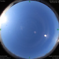 1591400946.jpg