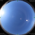 1591402087.jpg
