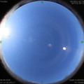 1591402477.jpg
