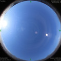 1591402867.jpg