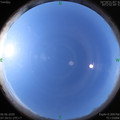 1591404008.jpg