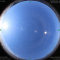 1591404383.jpg