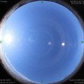 1591405539.jpg