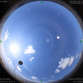 1591410926.jpg