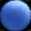1591461306.jpg