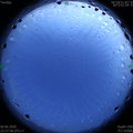 1591461501.jpg