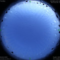 1591461876.jpg