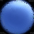 1591461996.jpg