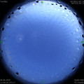 1591462131.jpg