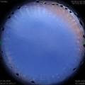 1591463047.jpg
