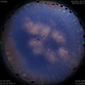 1591464773.jpg