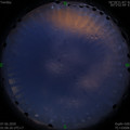 1591466814.jpg