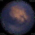 1591467054.jpg