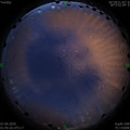 1591469155.jpg