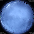 1591477604.jpg