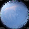 1591480050.jpg