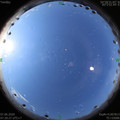 1591489250.jpg