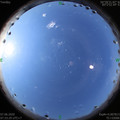 1591490030.jpg