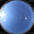 1591491201.jpg