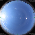 1591491981.jpg