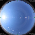1591493167.jpg