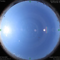 1591493557.jpg