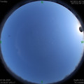 1591534587.jpg