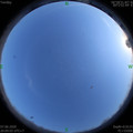 1591535367.jpg