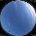 1591538894.jpg
