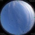 1591540695.jpg