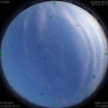 1591540815.jpg