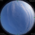 1591540875.jpg