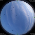 1591541010.jpg