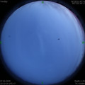 1591543967.jpg