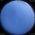1591544042.jpg