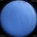 1591544342.jpg