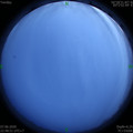 1591544942.jpg