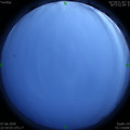 1591545317.jpg