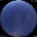 1591556017.jpg
